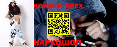 гидра Кузнецк